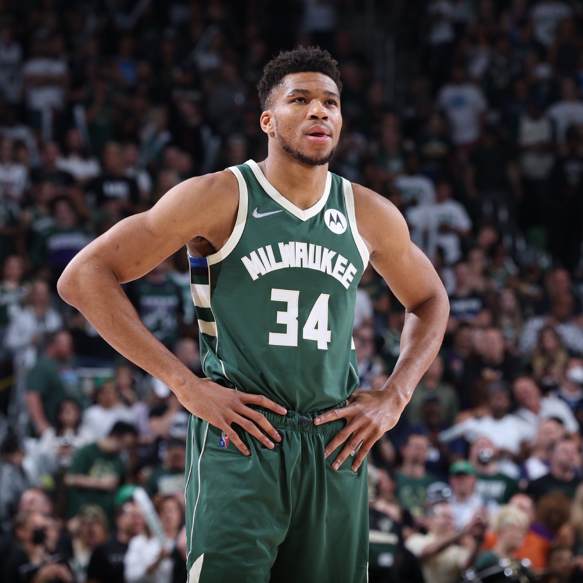 端的存在感 端的存在感